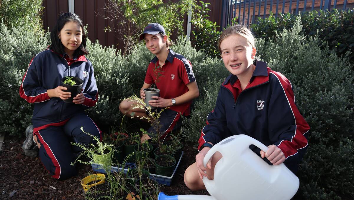 Operation REGROW: Students from St George Christian School are taking part in a project to help breathe new life into a bushfire-ravaged area. Pictures: Supplied
