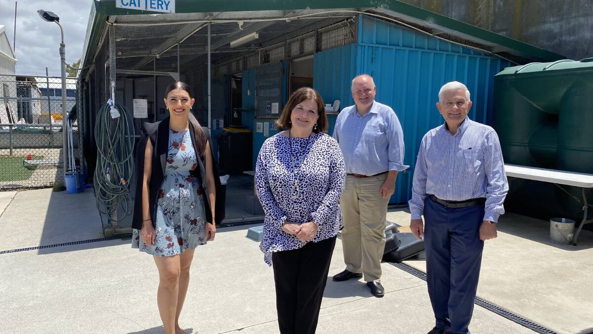 Paws for thought: Eleni Petinos, Shelley Hancock, Lee Evans and Sutherland Shire mayor Steve Simpson at Sutherland Shire Animal Shelter. Picture: Supplied 