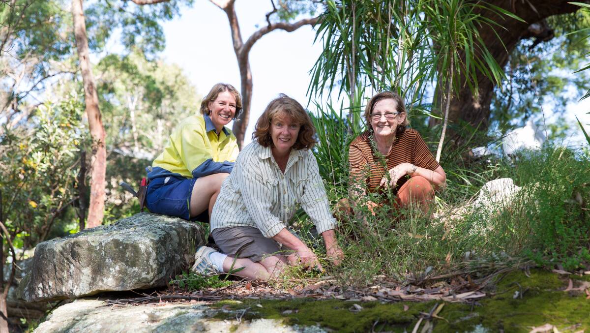 Our own backkard: Seniors are being urged to explore the natural environment during the Seniors Festival. Picture: Supplied 