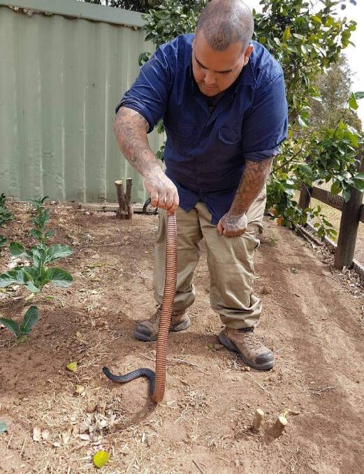Snake catcher: Cory Kerewaro with a red-bellied black snake he captured at the Jannali High School. Picture: Supplied