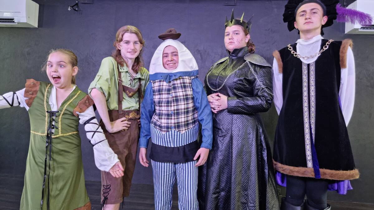 Panto fun: Some of the cast of Jack and the Beanstalk. Picture: Supplied