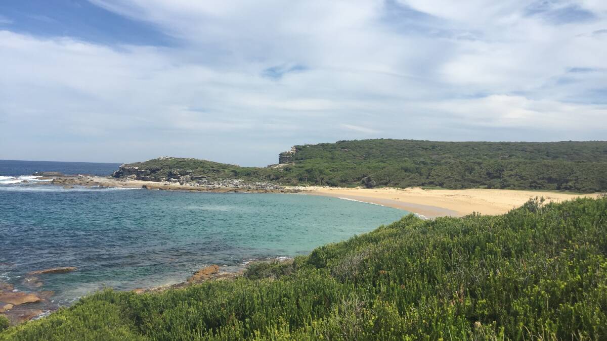 Little Marley Beach in the Royal National Park, scene of yesterday's fatal drowning. Picture: Natasha Webb