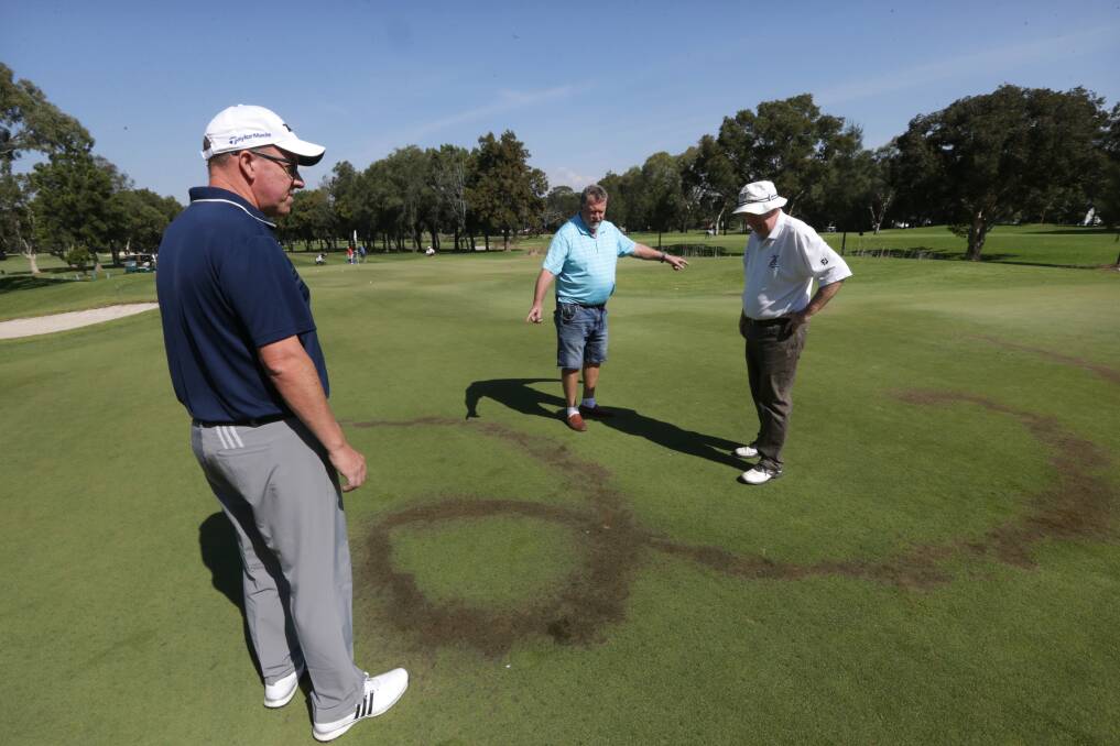 Out of action: Club officials inspect one of the damaged greens at Beverley Park Golf Course this morning: Picture: John Veage