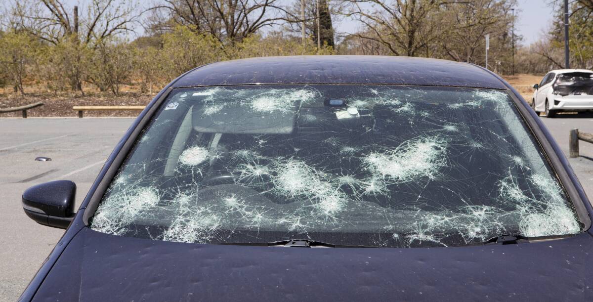 Thousands of cars in Canberra were hail-damaged in the ferocious January 20 storm. Picture: Jamila Toderas