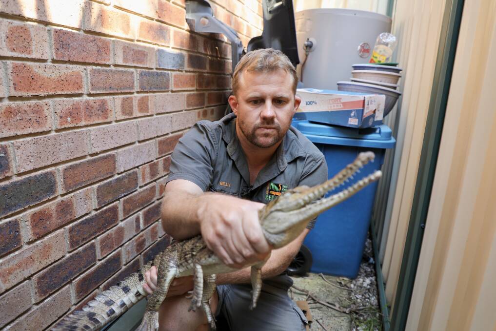 Keeper Billy Collett with the creature in a Umina backyard on Sunday. Pictures supplied by Australian Reptile Park