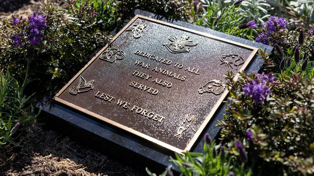 Memorial garden dedicated to animals who have served Australian defence  forces opened at Cronulla RSL memorial Club | St George & Sutherland Shire  Leader | St George, NSW
