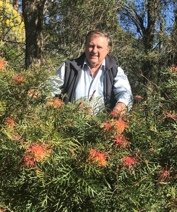 Peter Olde is a world expert on Grevillea. Picture: supplied