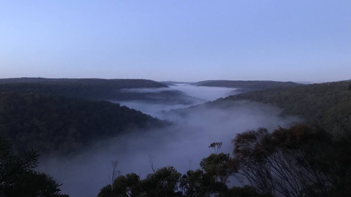 Fog lingers in the valleys of Royal National Park at day break on Tuesday this week. Picture: Chris Lane