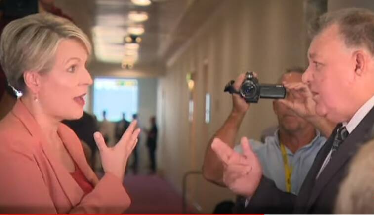 Tanya Plibersek and Craig Kelly discuss his views on COVID-19 in the Press Gallery corridor. Picture: 7 News