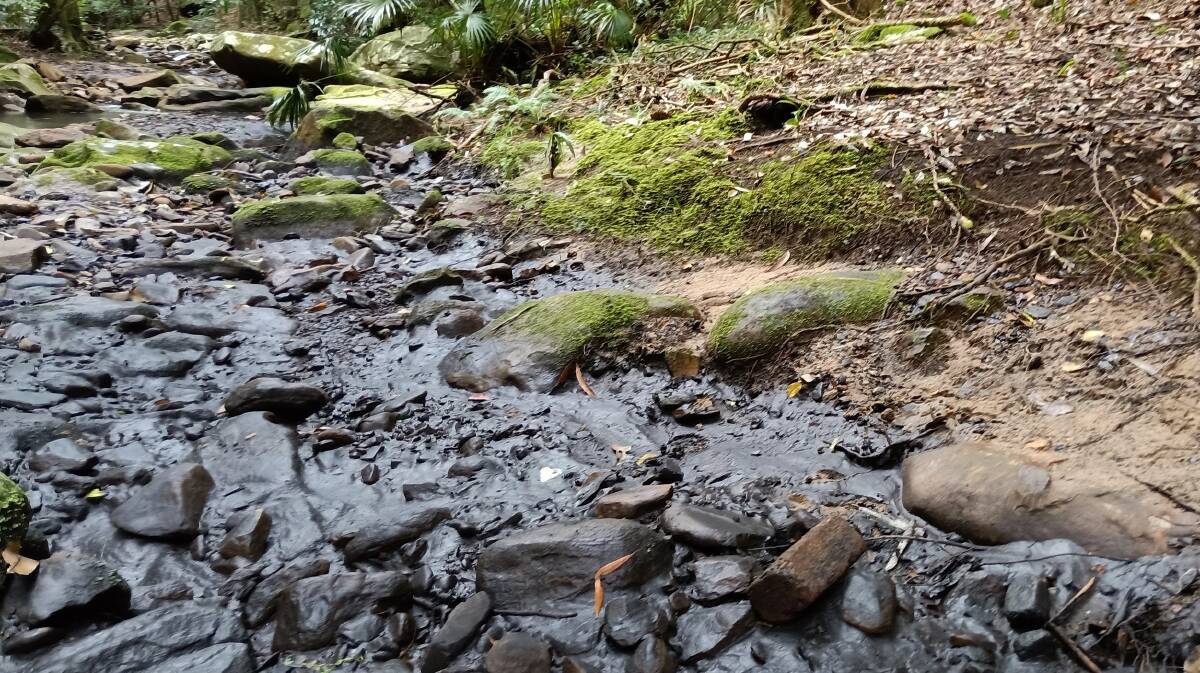 Black sludge in Camp Gully Creek following the landslip in early August. Picture by James McCormack, Wild magazine.