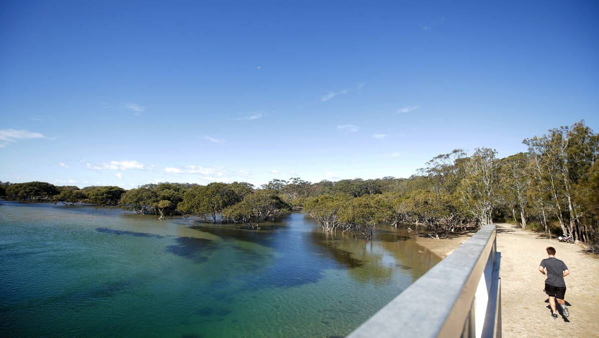A fishing ban was proposed in Cabbage Tree Creek in Port Hacking. Picture: Chris Lane