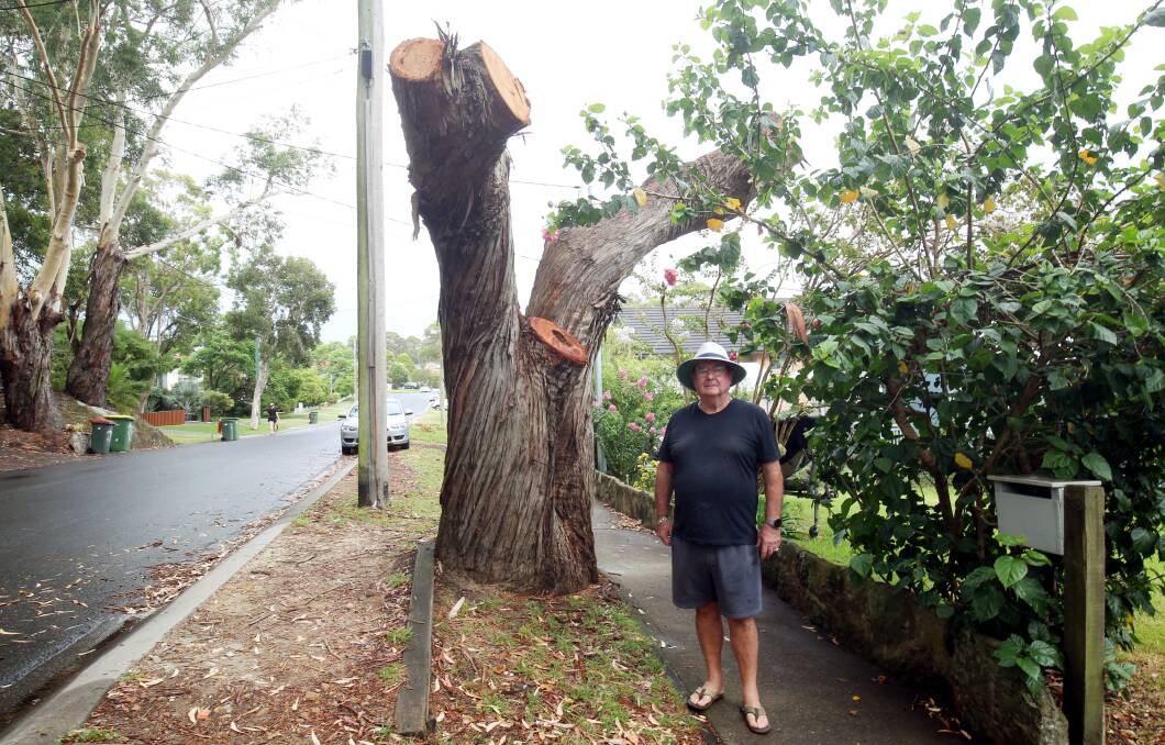 Keith Gallagher next to one of the trees in Woronora Crescent. Picture by Chris Lane