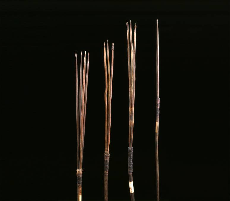 The four spears that will be returned to Kamay (Botany Bay). Picture the Museum of Archaeology and Anthropology, University of Cambridge