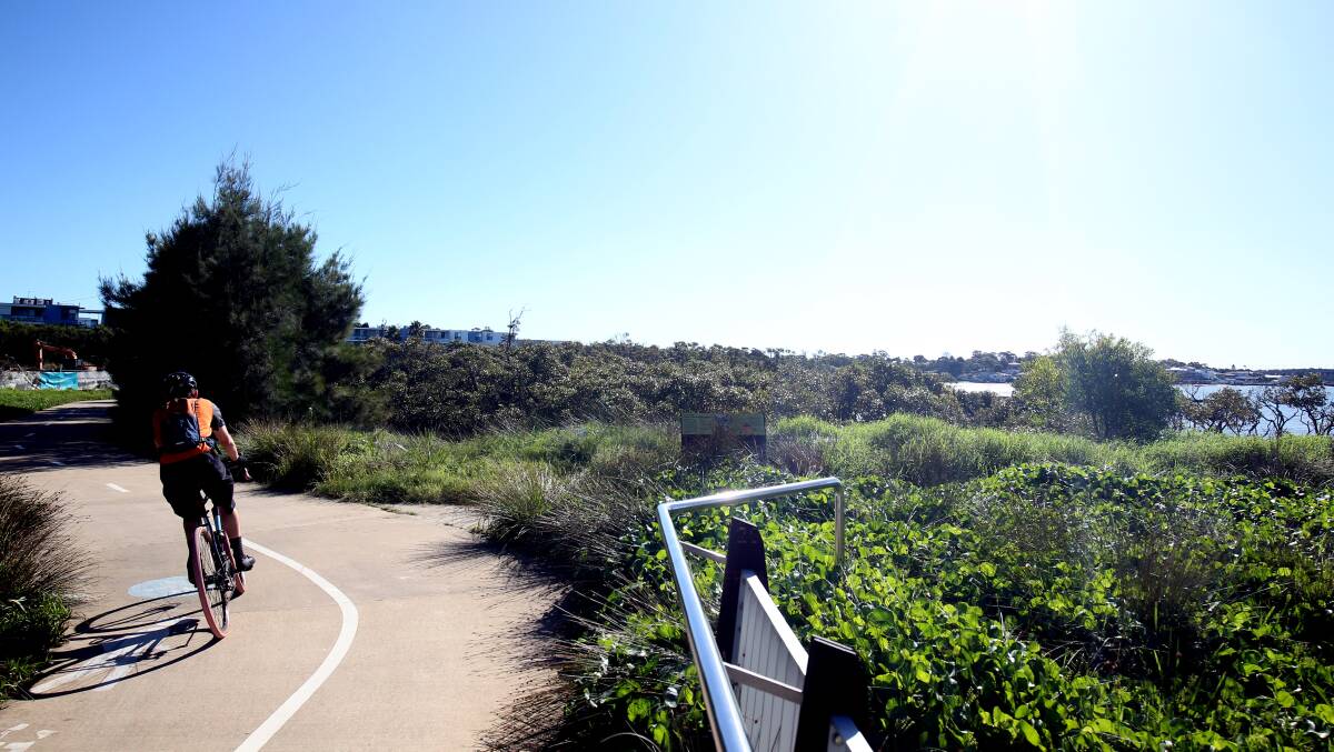 Protected area: The one-kilometre long section of the Woolooware Bay Shared Path, from which dogs are banned, is within or directly adjacent to the Taren Point Shorebird Community. Picture: Chris Lane