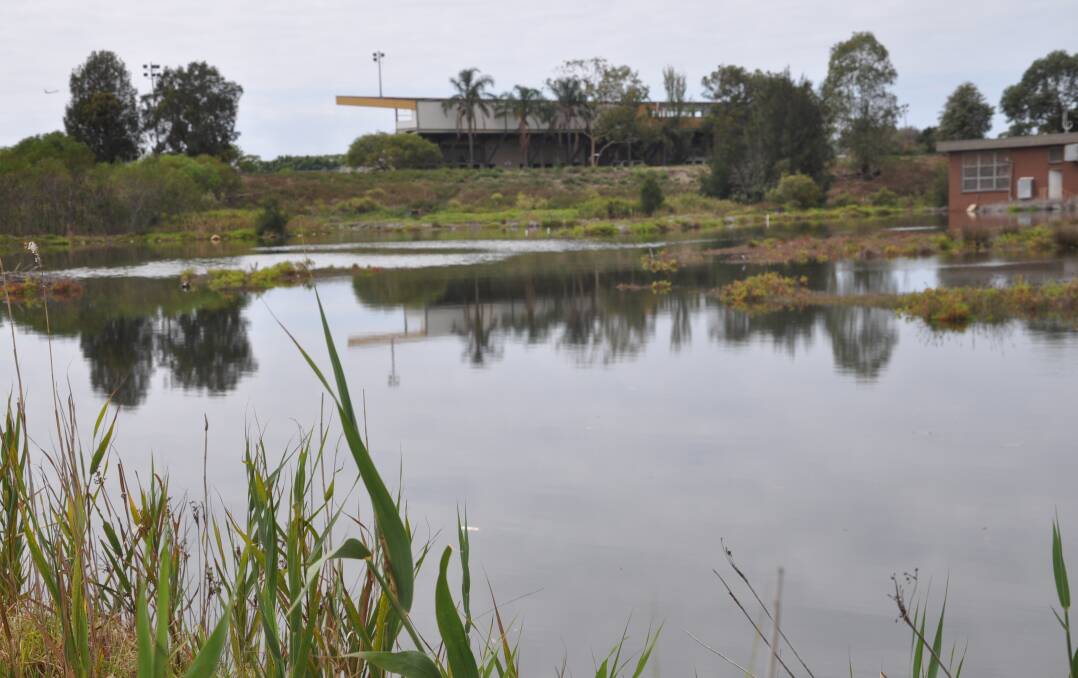Enviro hurdle cleared: Wetlands in the southern precinct of the Cooks Cove development area, with the football stadium grandstand in the background.