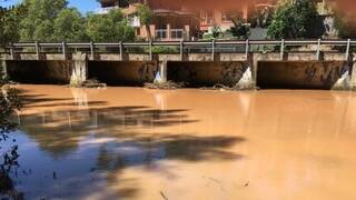 Polluted creek creek near the Bates Drive bridge. Picture: supplied