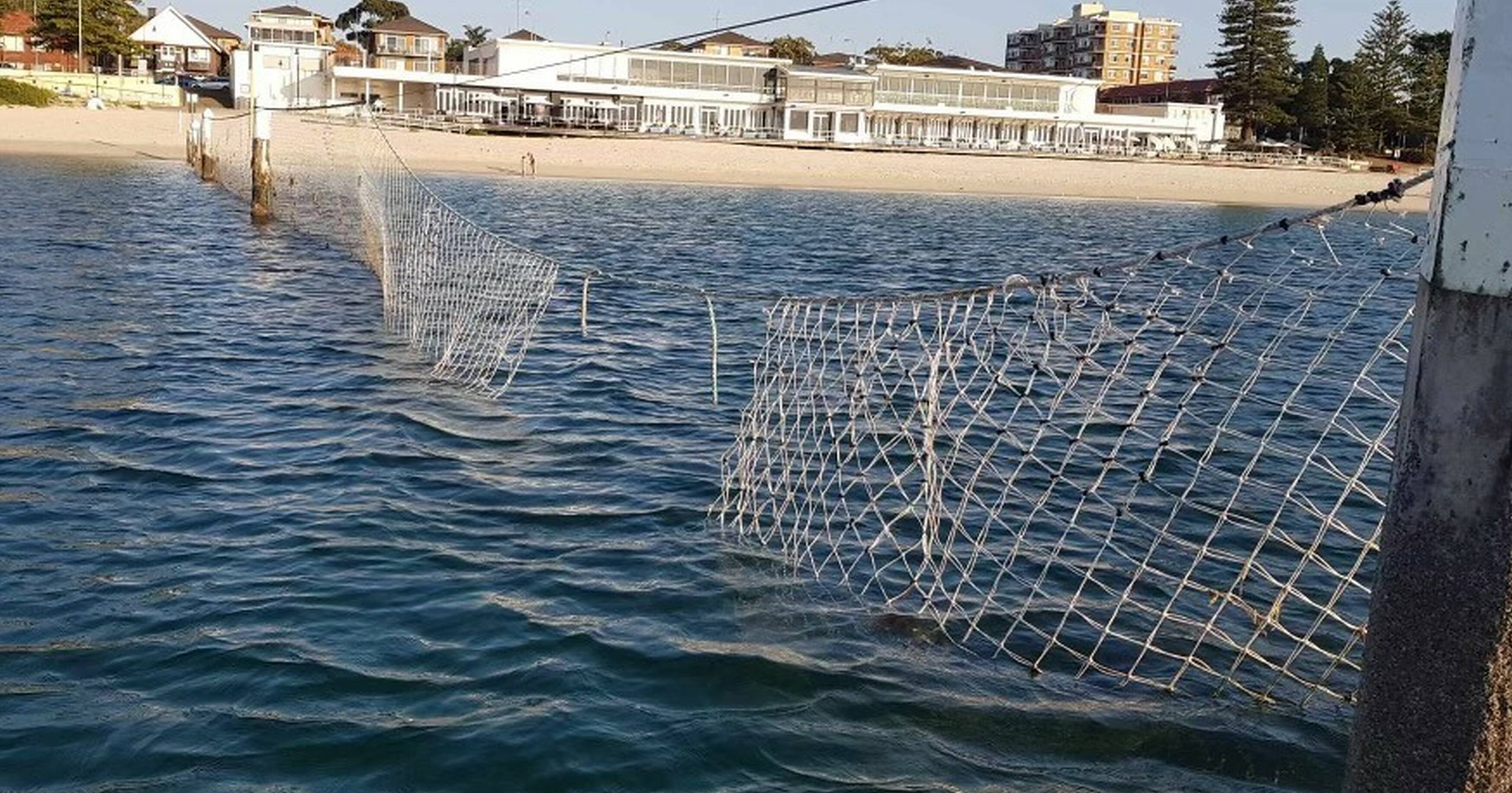 Repairs to shark net at Brighton Baths after damage by jetski or boat, St  George & Sutherland Shire Leader