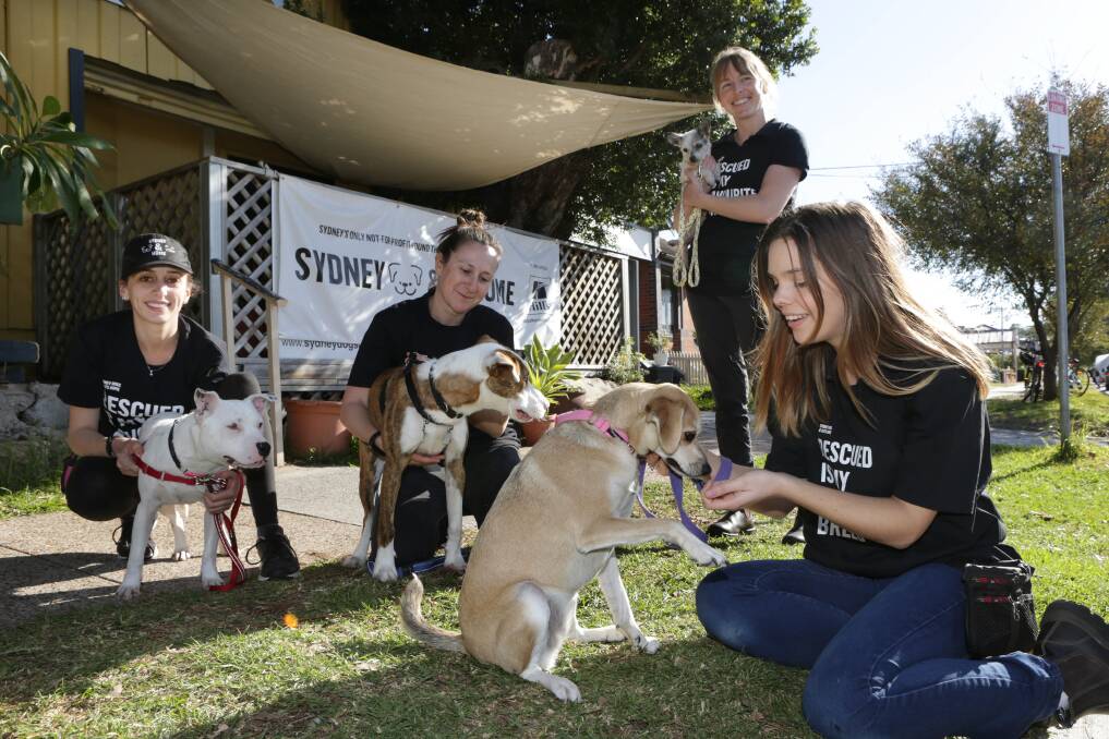 Sophie with Grace (front) and Jess with Bandit at the Carlton shelter in 2018, at the time of the announcement of the move to Kurnell. Picture: John Veage