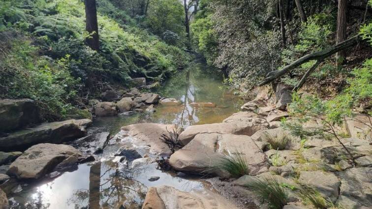 Camp Gully Creek, tributary of the Hacking River. Pictures supplied, NSW EPA