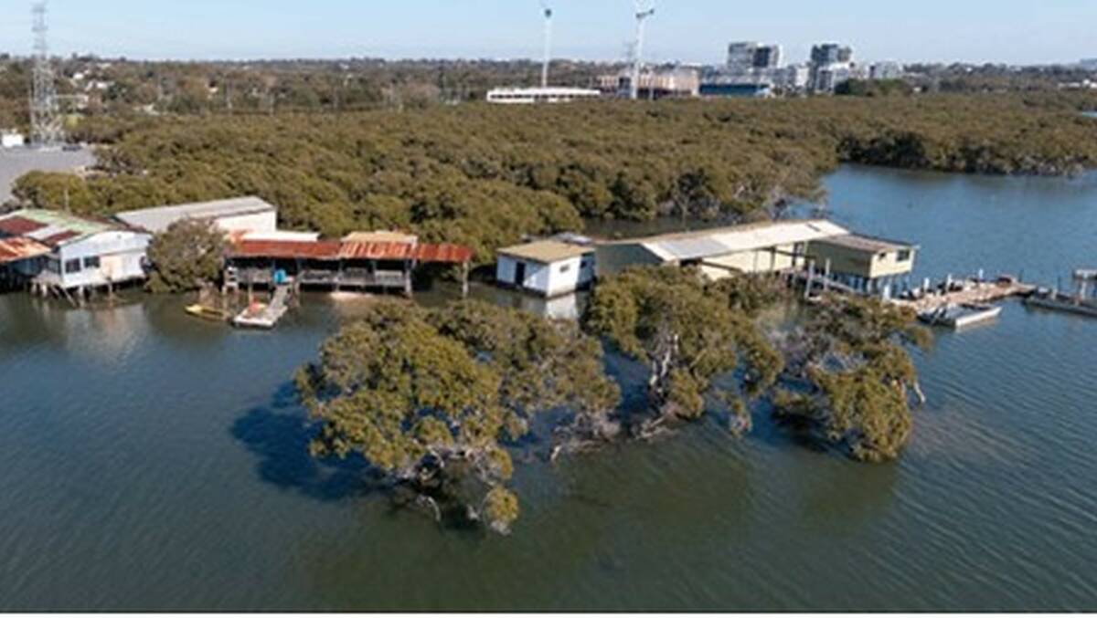 The oyster farming site on Woolooware Bay, near the Sharks development. Picture supplied