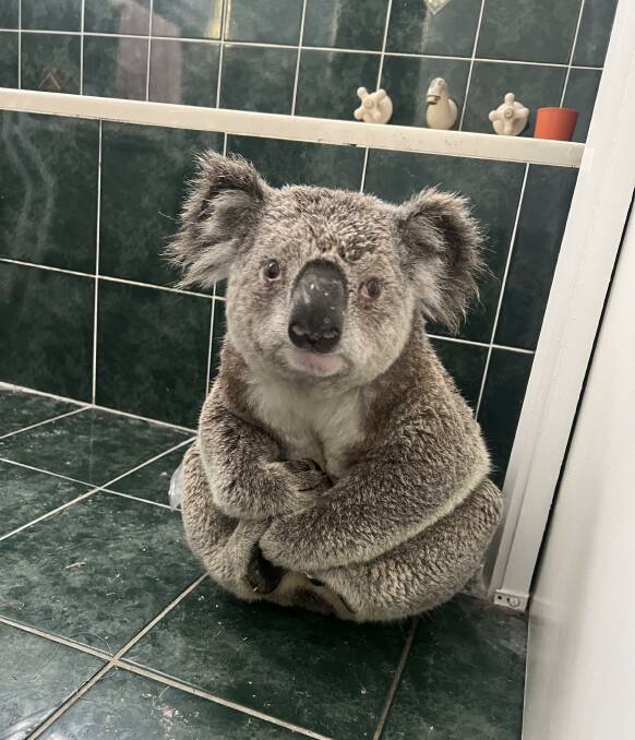 Wonnie huddles in a corner of the bathroom in the Woronora Heights home, waiting for rescuers to arrive. Picture Shannon Tetley