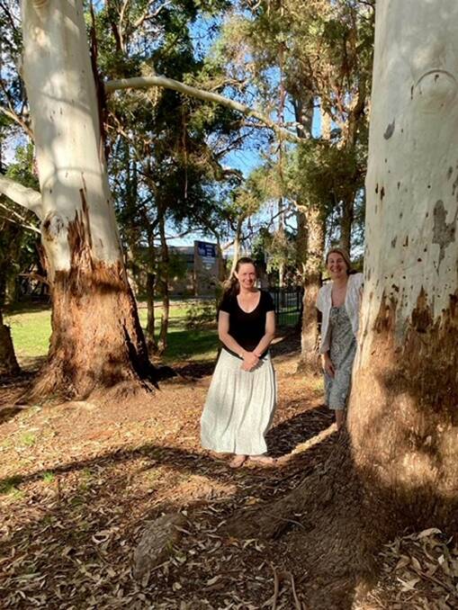 Residents among threatened trees at Oyster Bay Oval. Picture supplied