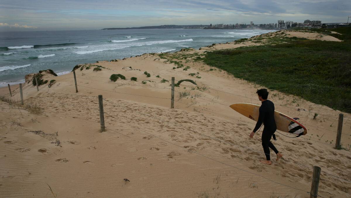 Rethink: Vegetation planted to stop erosion could be worsening the problem worse. Picture: John Veage