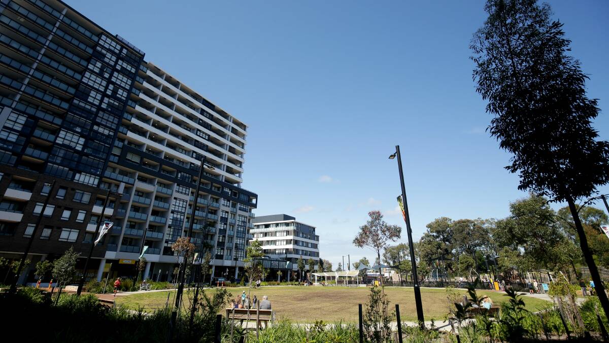 Biddy Giles Park at South Village, Kirrawee, is among possible locations for outdoor movies. Picture: Chris Lane