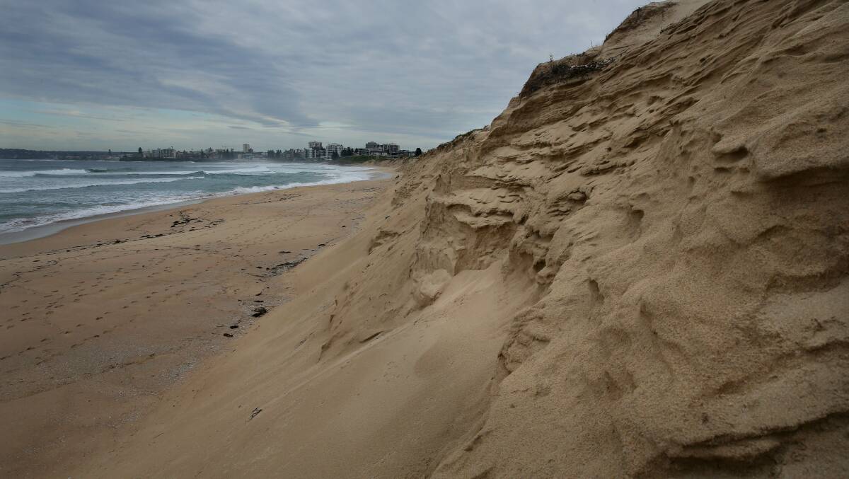 Recent devastation: Elouera beach after big seas in July this year. Picture: John Veage 