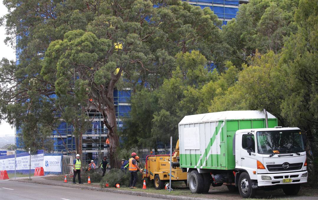 Make way for the roadway: Trees being cut down near the Kirrawee brick pit development site to allow widening of Oak Road. Picture: John Veage