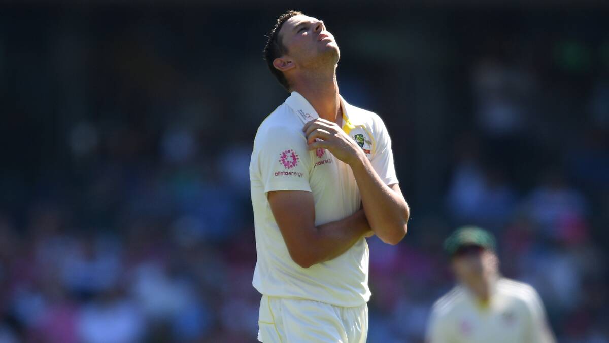 St George paceman Josh Hazlewood was twice overlooked by selectors for the World Cup squad. Picture: AAP