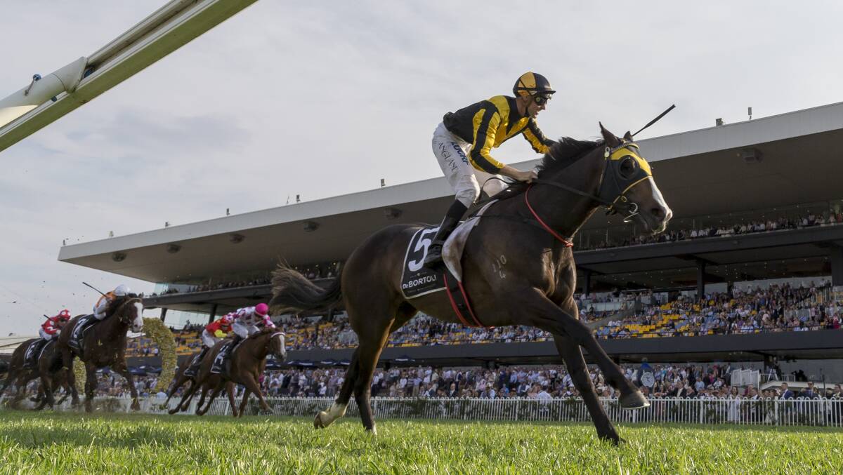 Trapeze Artist ridden by The Angland wins a race at Rosehill Racecourse last year. Picture: AAP Image/ Craig Golding