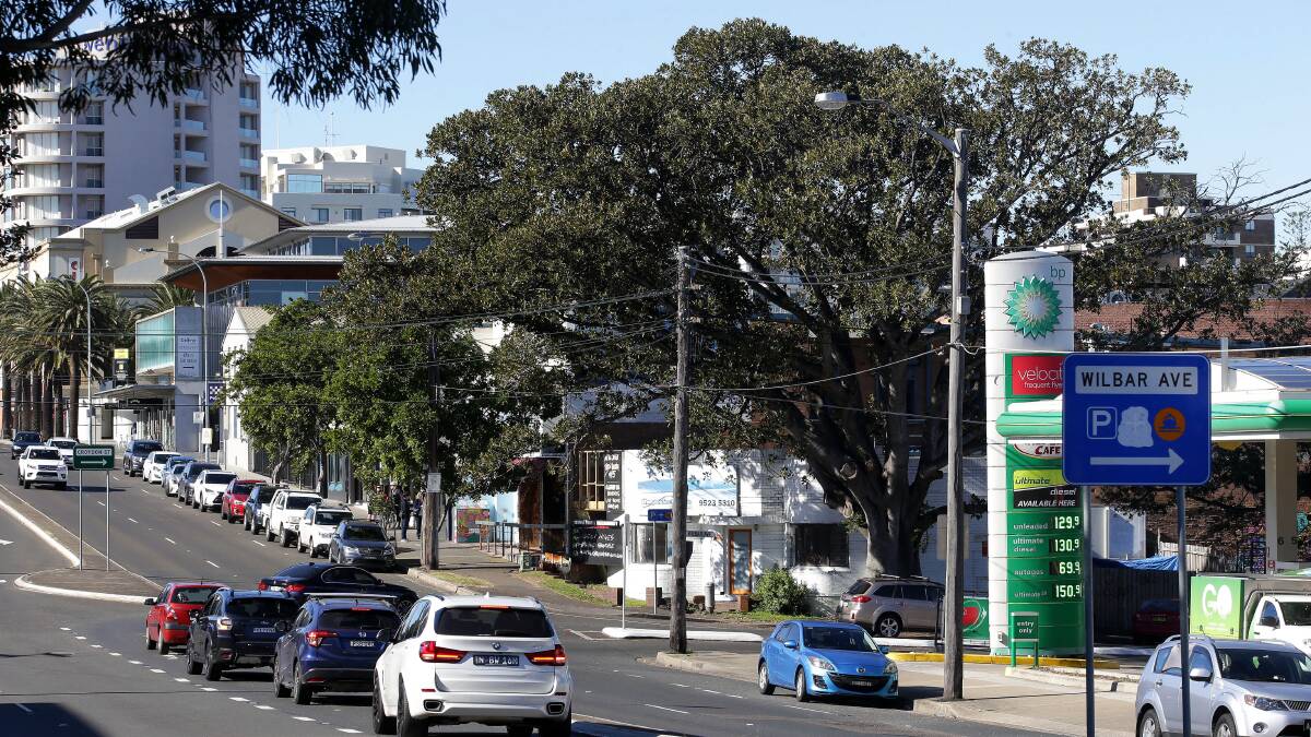 Facing the chop: The tree in Wilbar Avenue opposite the BP service station on the corner of Kingsway, is heritage listed in the shire's 2015 LEP. Picture: John Veage