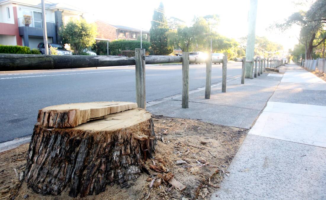 Residents stumped: Peakhurst residents have been shocked at the recent removal of more than 20 mature trees along Isaac Street. Picture: Chris Lane