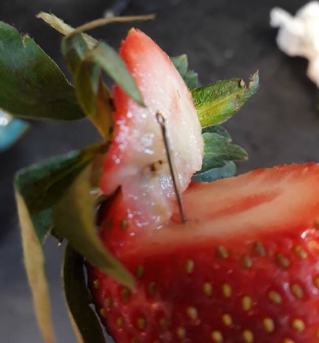 A contaminated strawberry found last Wednesday night. Picture: Angela Stevenson 