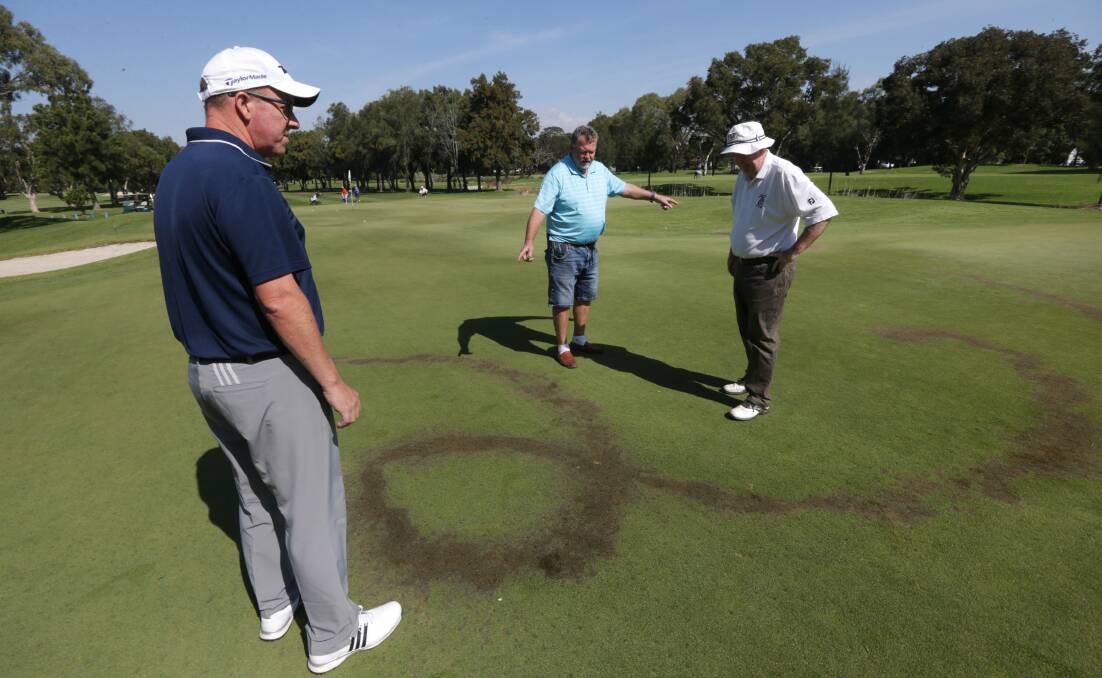 Petrol burn: Beverley Park Golf Club officials inspect the damage to one of three greens vandalised on April 12. Picture: John Veage