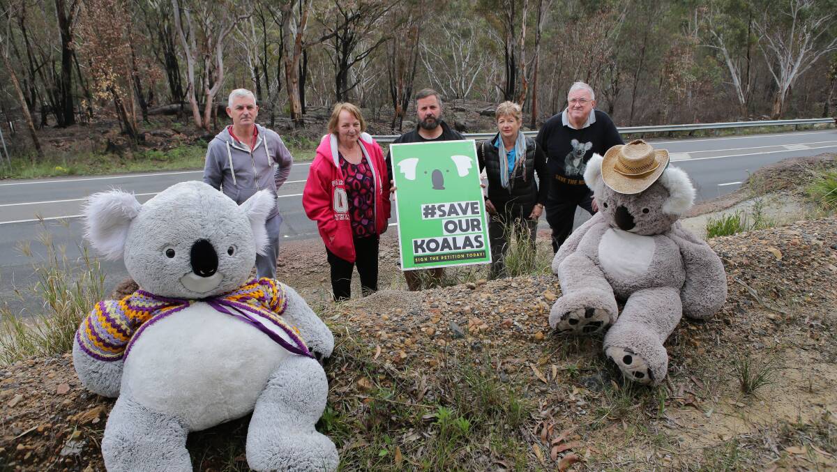 Too much to bear: Wildlife group advocates say six koalas have been killed on Heathcote Road in the last year, including two within a week last month.