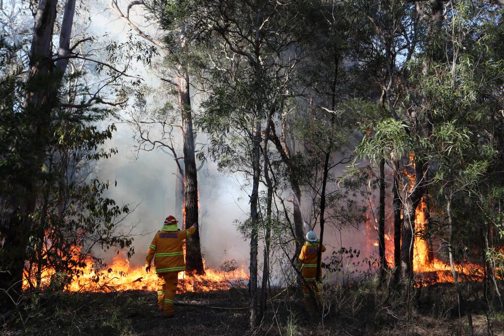 A hazard reduction burn will be conducted adjacent to the M1 Princes Highway at Helensburgh today, Friday. File picture: Sylvia Liber