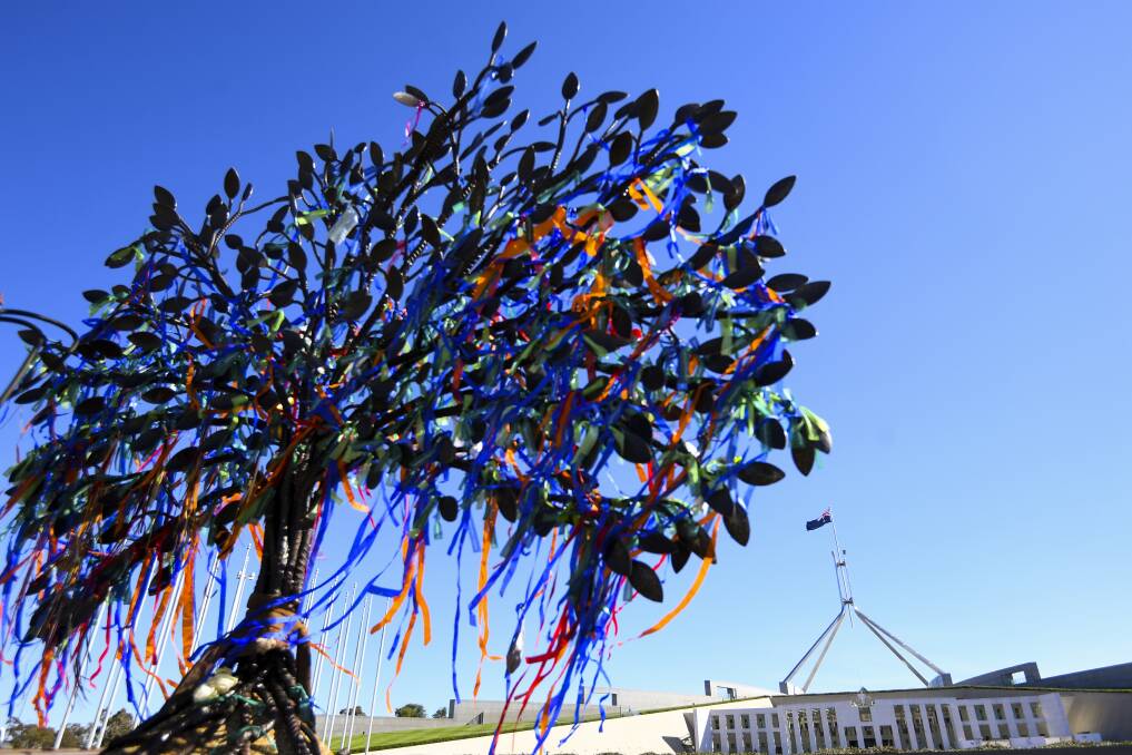 A memorial tree sculpture outside Parliament House in Canberra following the national apology to victims and survivors of institutional child sexual abuse. Picture: AAP, Lukas Coch