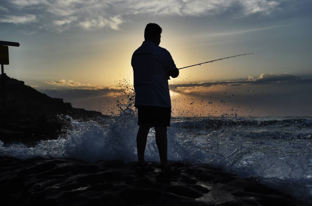 St George and Sutherland Shire anglers and fishing groups can have a say on how their licence monies are spent. Picture: Nic Moir