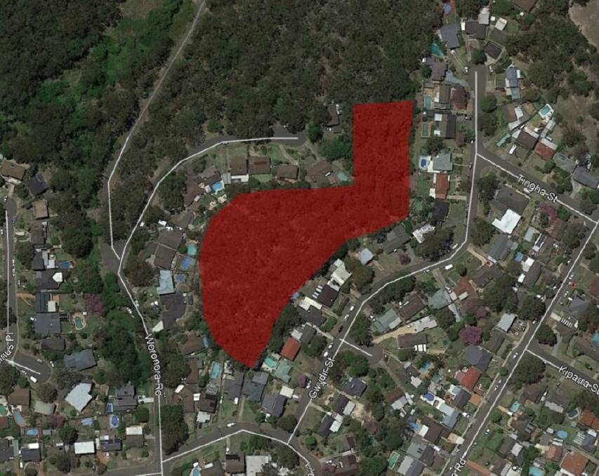 Proposed hazard reduction areas show in red. Pictures: RFS NSW