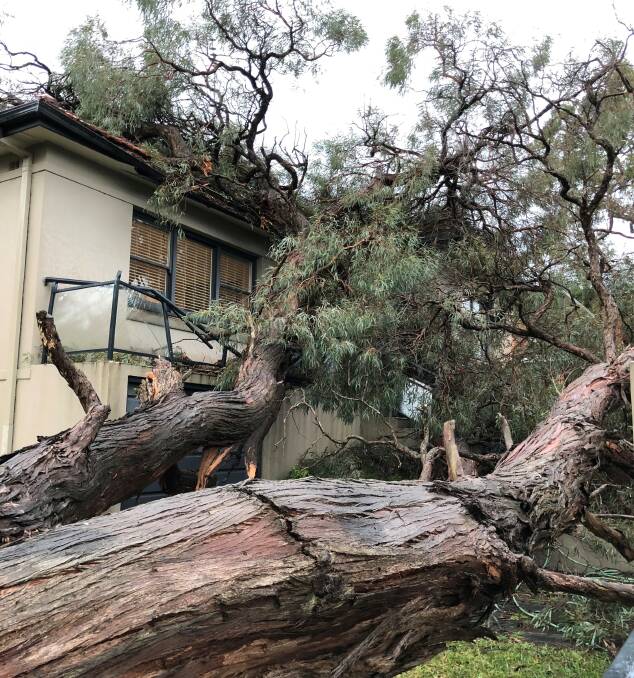 Storm damage: Firefighters from Hurstville and Fire & Rescue Kogarah worked alongside the Kogarah SES Unit, when a tree fell across the roof of a house at Connells Point and into the lounge room on October 5. Pictures: Kogarah SES