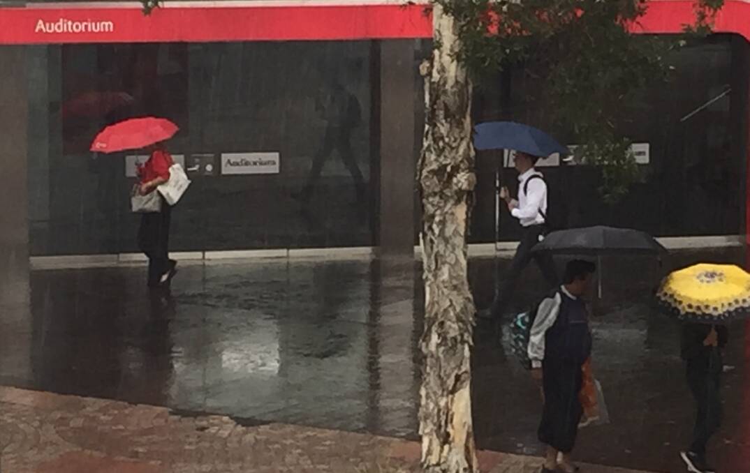 Showers in Kogarah today had pedestrians reaching for their umbrellas. Rain is forecast to be heavier on Thursday.