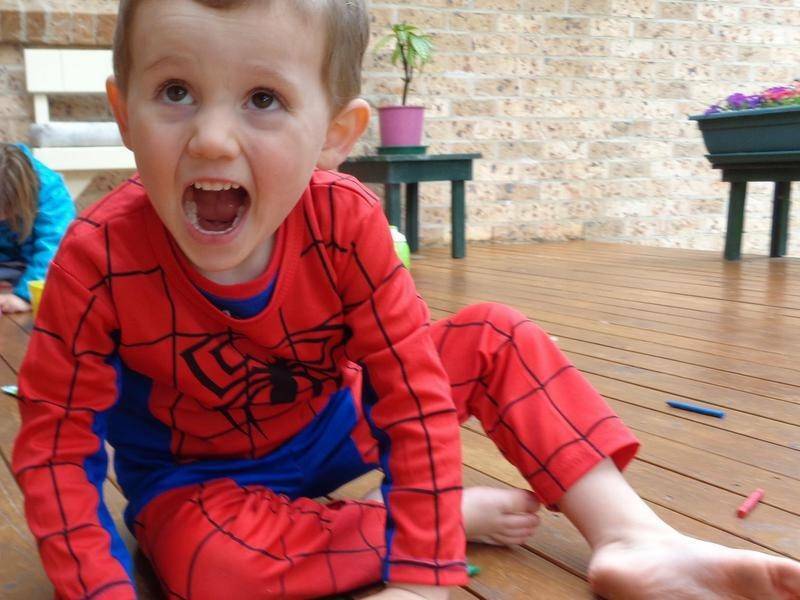 William Tyrrell, aged 3, was wearing a Spiderman suit when he disappeared from his grandmother's home in Kendall in 2014.