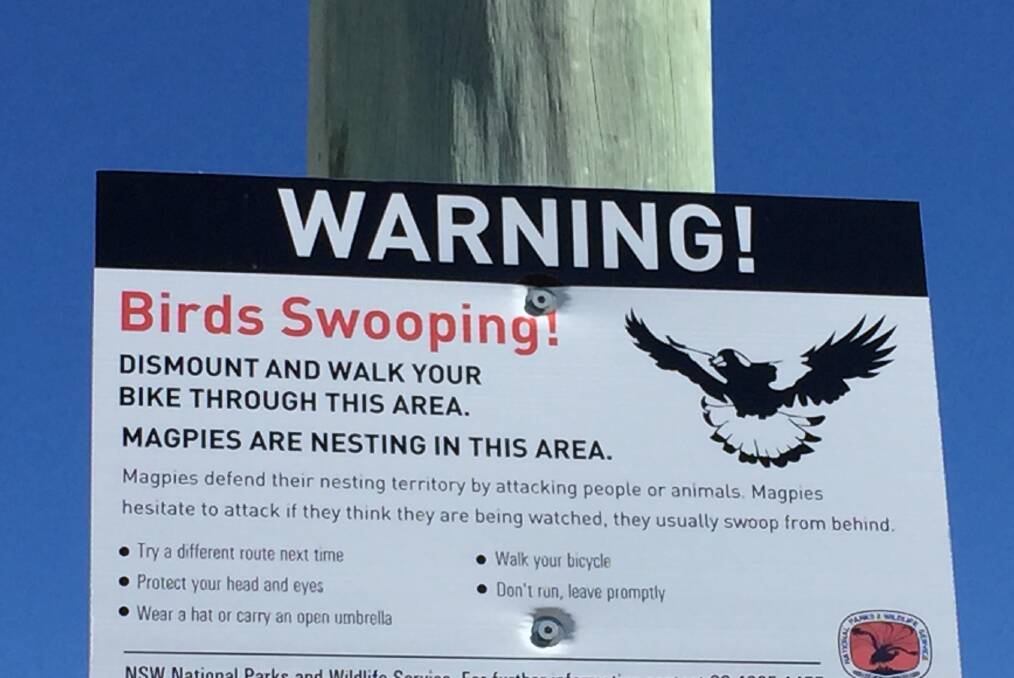 A magpie warning sign 