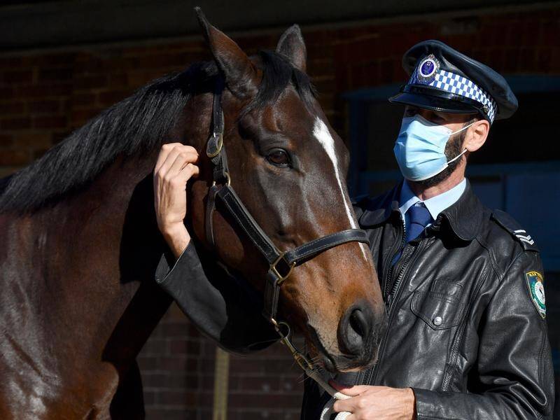 The protester accused of striking police horse Tobruk refuses to get a COVID-19 test to face court.