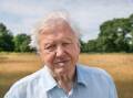 Sir David Attenborough will revisit the life of mammals in his new TV series. (HANDOUT/BBC)