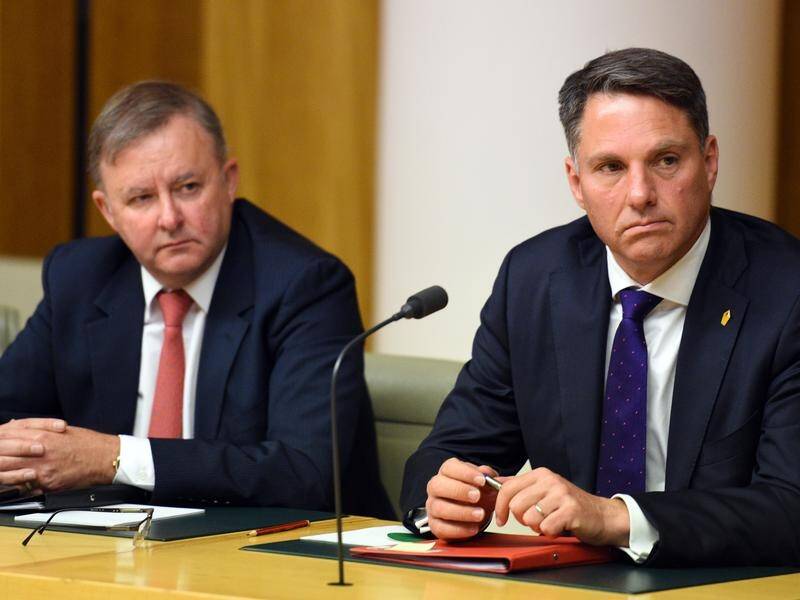 Labor's new leadership team, Anthony Albanese and Richard Marles, will be confirmed on Thursday.