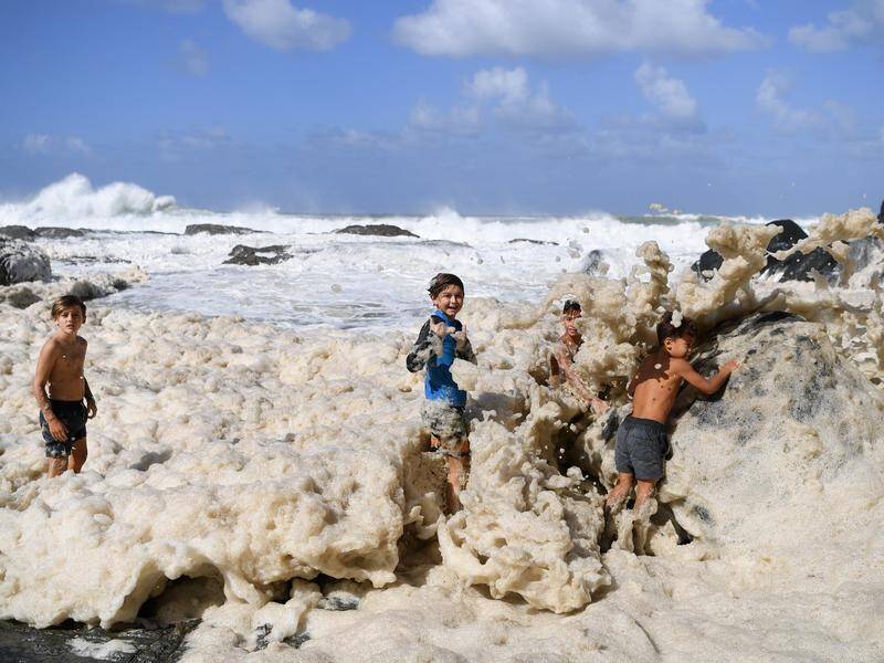 Children play in sea foam generated by cyclone Oma at Snapper Rocks on the Gold Coast in February.