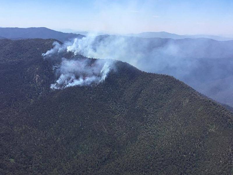 Bushwalkers in Victoria's alpine region are being advised to leave as a fire travels up Mt Bogong.